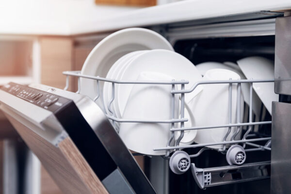 Bosch Dishwasher Maintenance: Solving the E22 Error